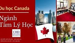 Các Ngành Học Của Canada Thạc Sĩ 2024 Tphcm Online