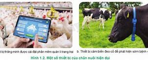 Công Nghệ 11 Chăn Nuôi Cánh Diều Pdf