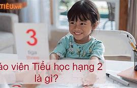 Giáo Viên Tiểu Học Hạng 2 Mã Ngạch Là Gì